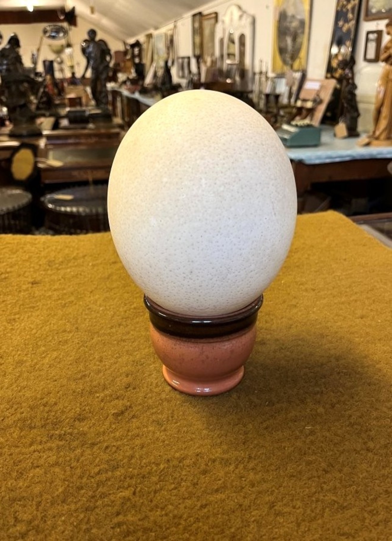 Vintage Ostrich Egg on Ceramic Stand