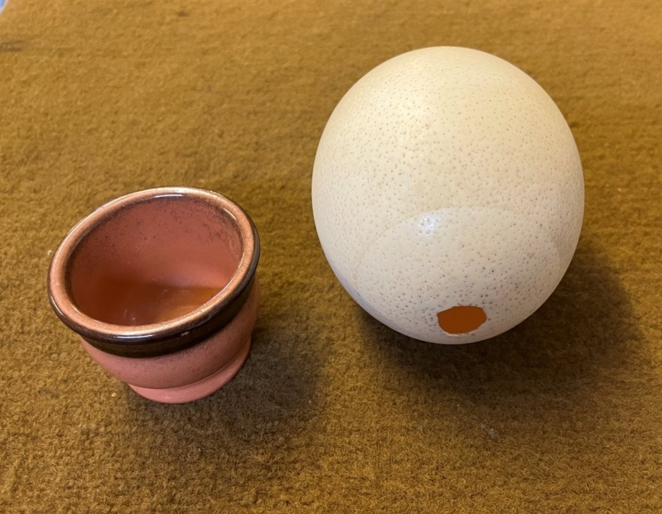 Vintage Ostrich Egg on Ceramic Stand
