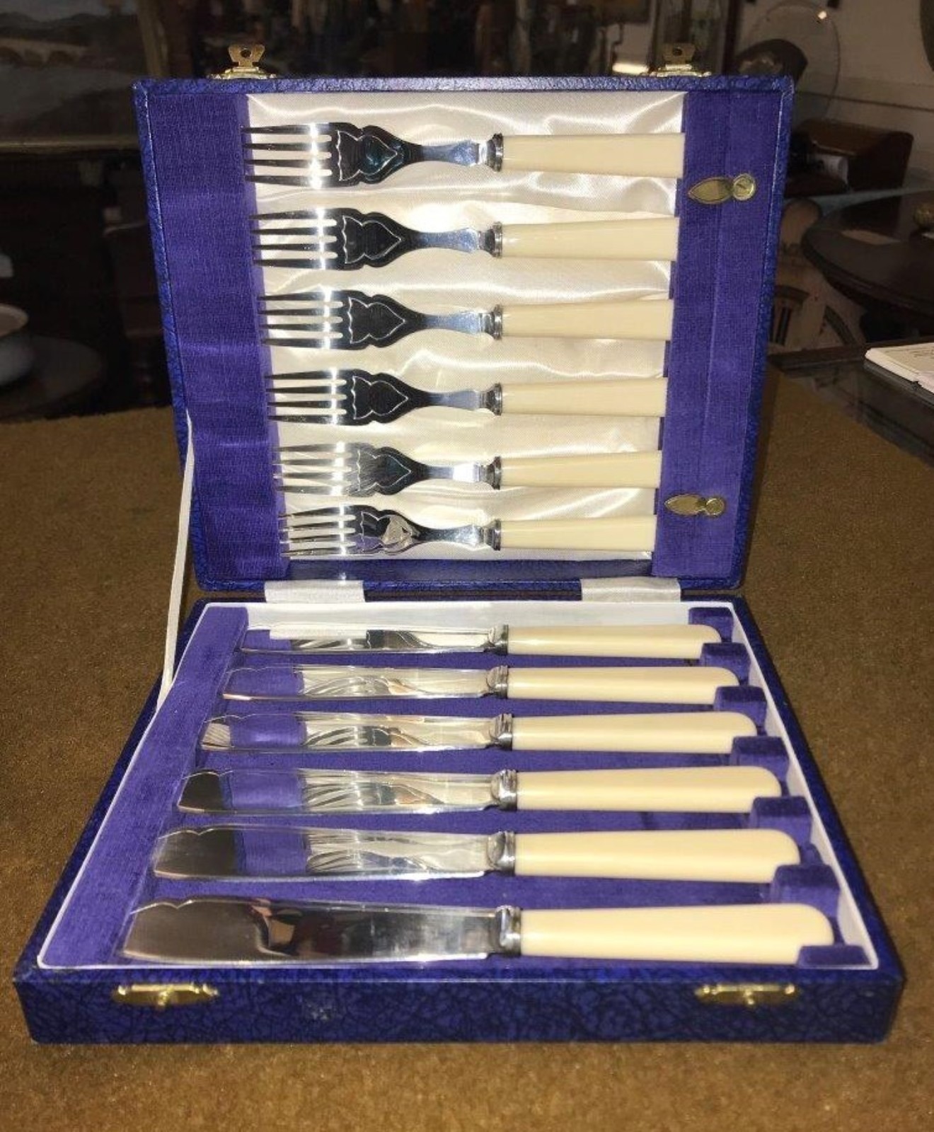 Vintage Cased Set of EPNS Fish Knives & Forks with Celuloid Handles Cooper Bros Sheffield
