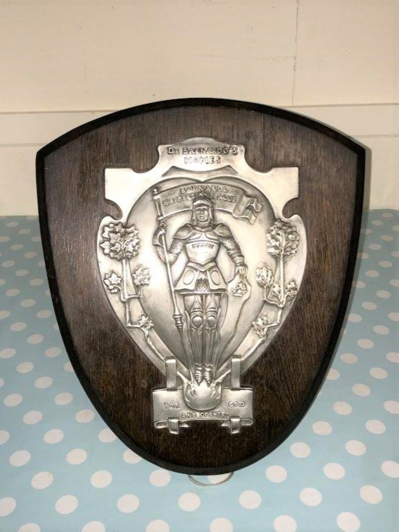 Dr Barnardo's Homes Shield