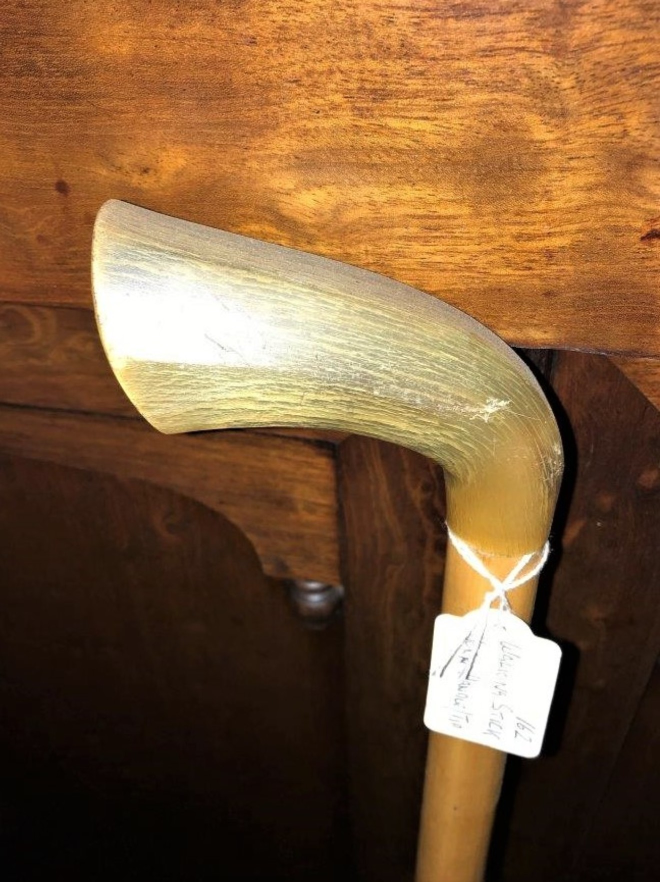 Walking Stick Horn Handle and Tip