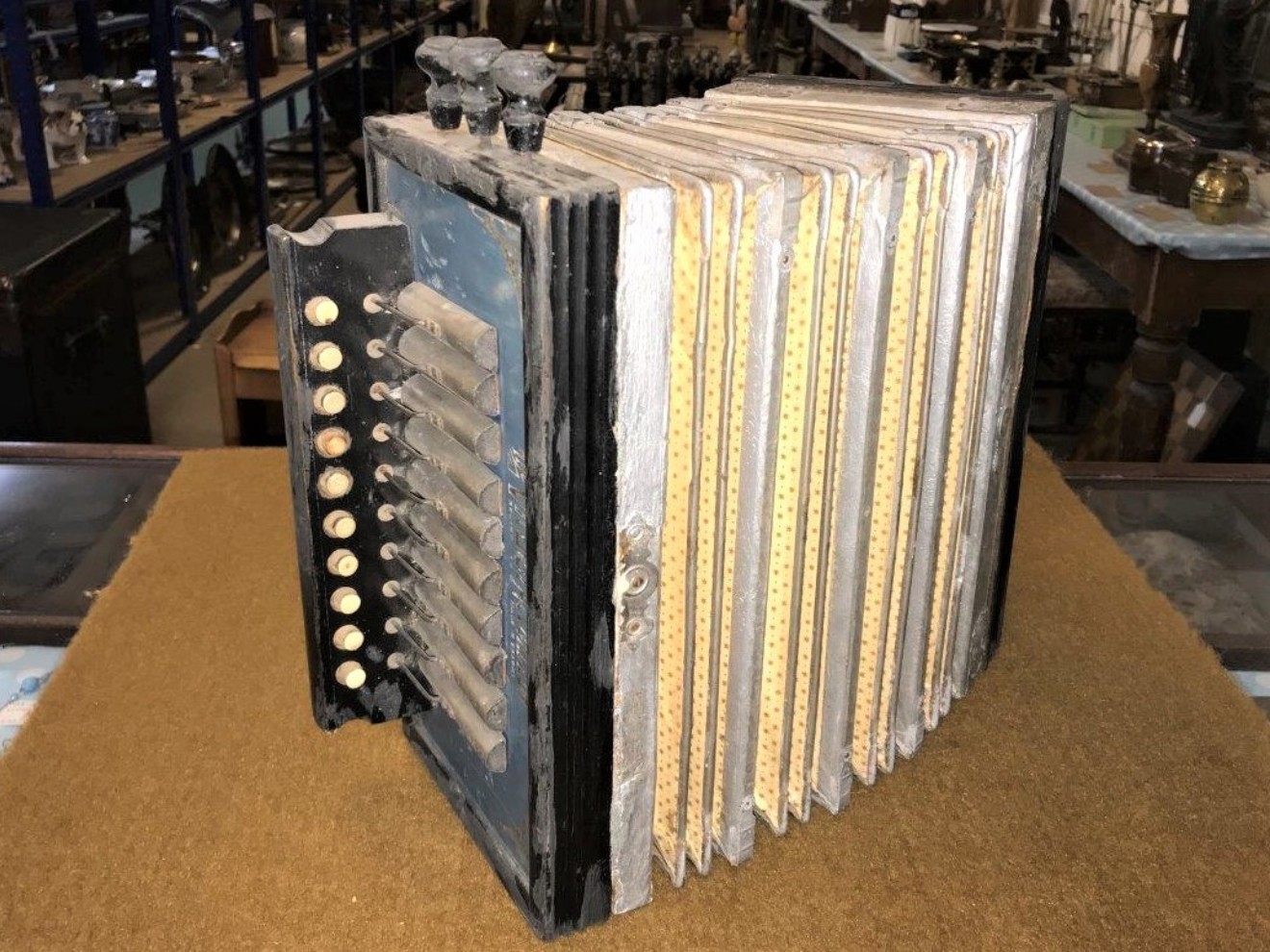 The Viceroy Accordion