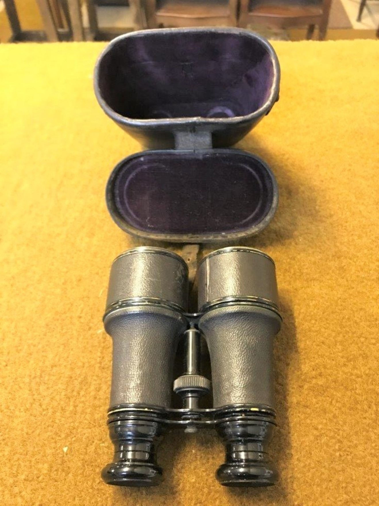 Pair of Binoculars / Galilean Field Glasses