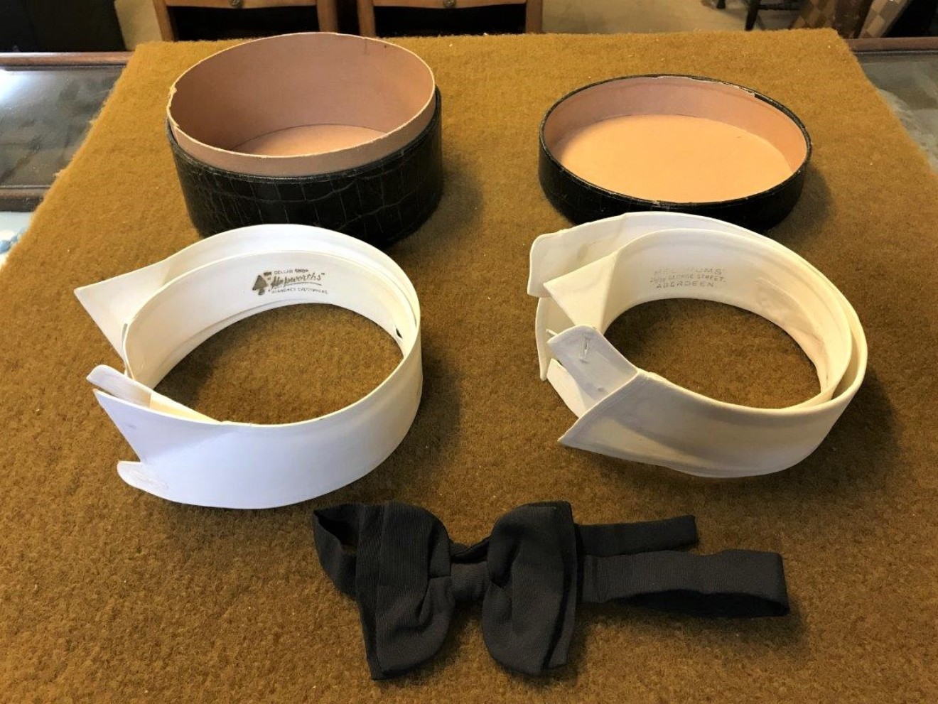 Alligator Collar Box & Collars