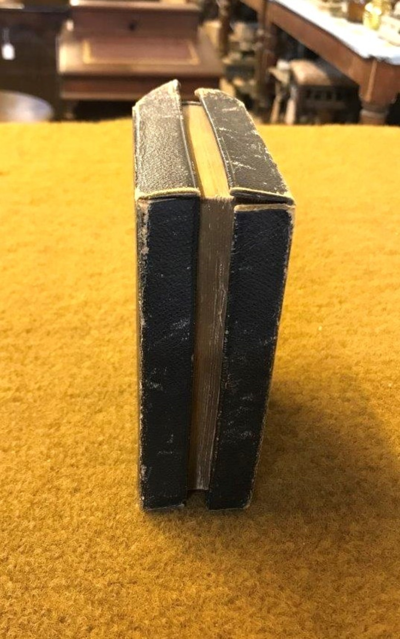 Antique Holy Bible Old and New Testaments