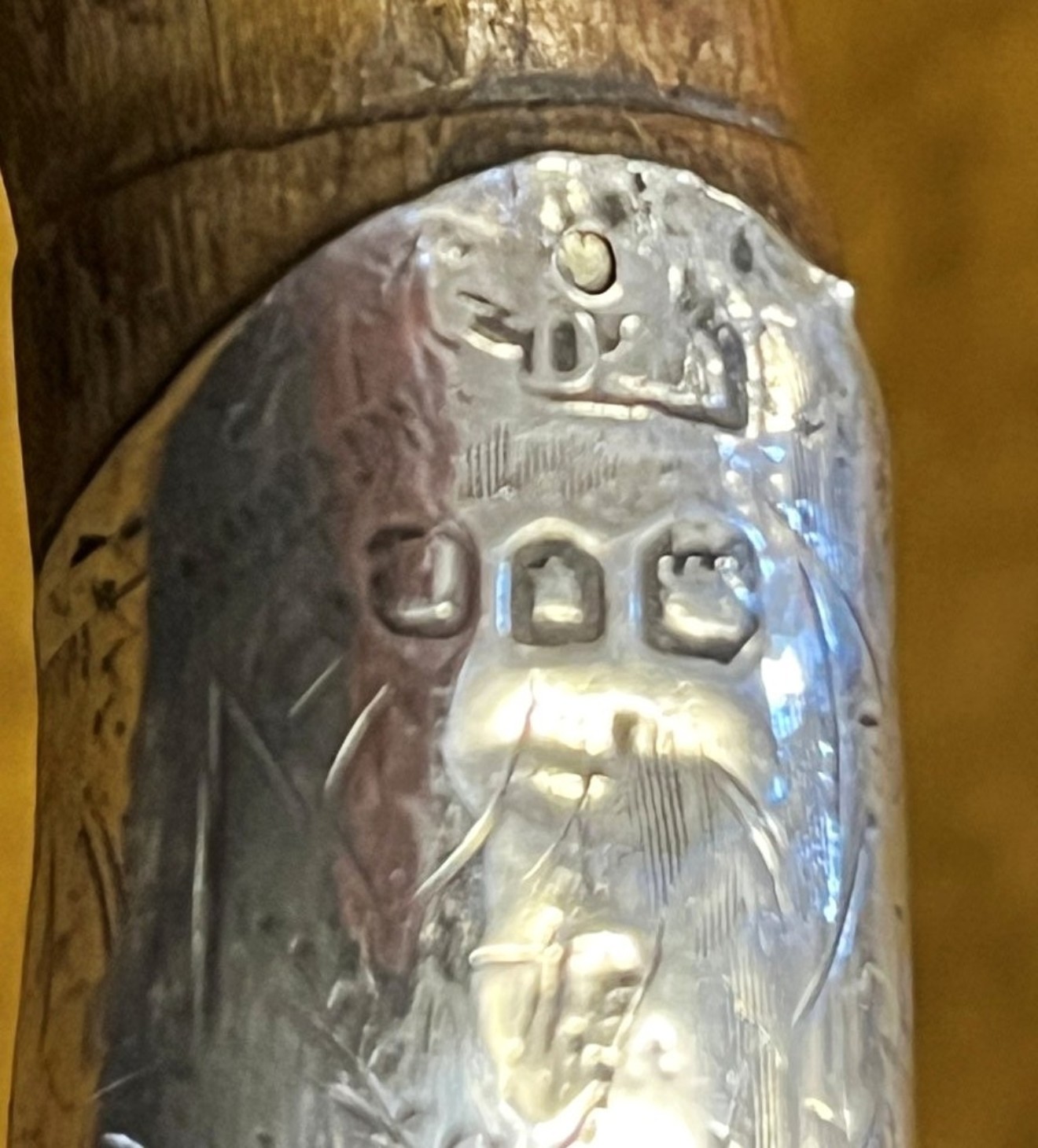 Antique Silver Mounted Partridgewood Walking Stick