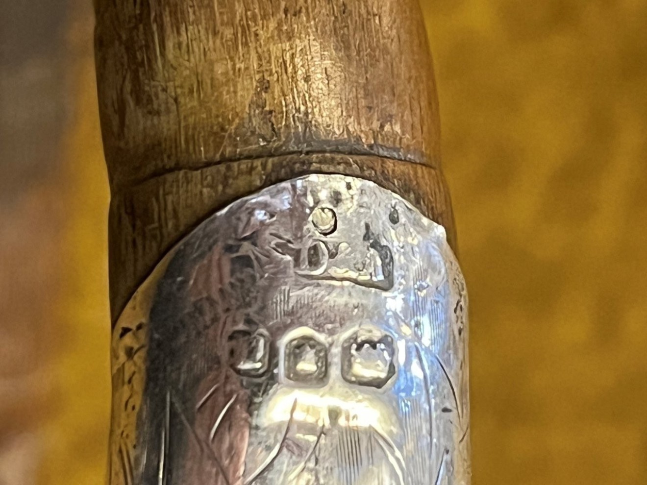 Antique Silver Mounted Partridgewood Walking Stick