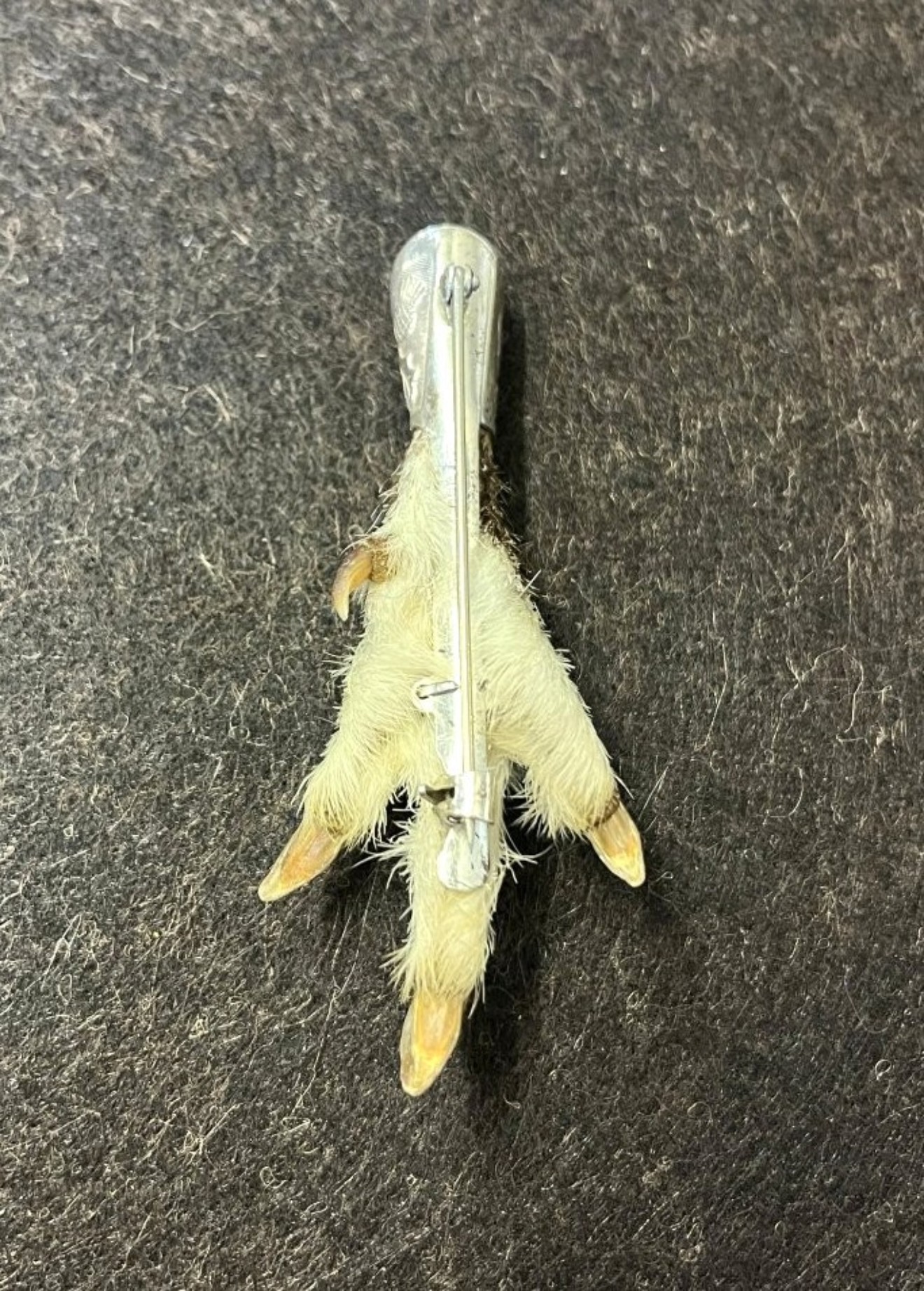 Vintage Scottish Grouse Claw Brooch Hallmarked Ward Bros Edinburgh 1965
