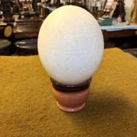 Vintage Ostrich Egg on Ceramic Stand