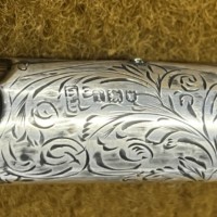 Antique Sterling Silver Mounted Partridgewood Walking Stick