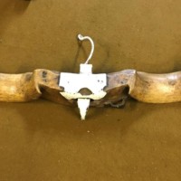 Antique Sycamore Double Oxen Yoke