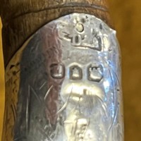 Antique Silver Mounted Partridgewood Walking Stick