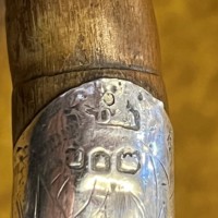 Antique Silver Mounted Partridgewood Walking Stick