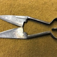 Sheep Shears No 100