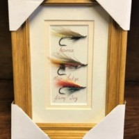 Framed Salmon Files