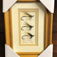 Framed Salmon Files