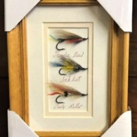 Framed Salmon Files