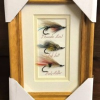 Framed Salmon Files