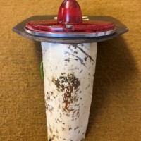 Vintage Raleigh Moped Rear Number Plate Holder and Light