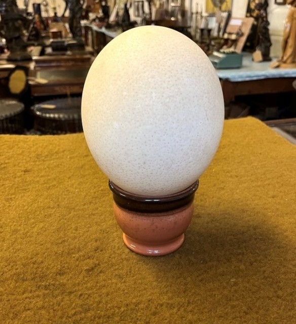 Vintage Ostrich Egg on Ceramic Stand