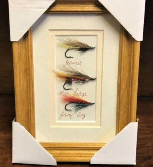 Framed Salmon Files